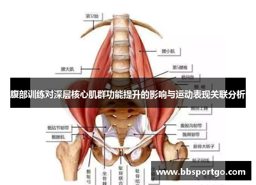 腹部训练对深层核心肌群功能提升的影响与运动表现关联分析