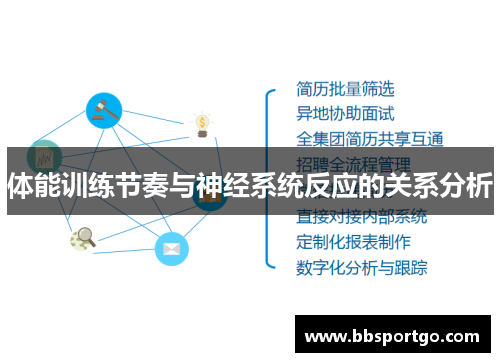 体能训练节奏与神经系统反应的关系分析