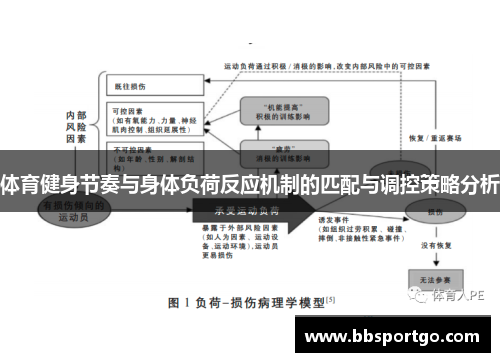 体育健身节奏与身体负荷反应机制的匹配与调控策略分析